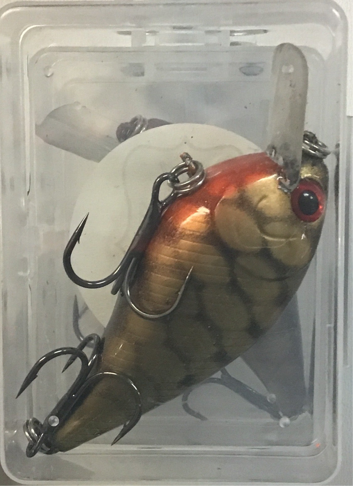 Rma Square Bill gold