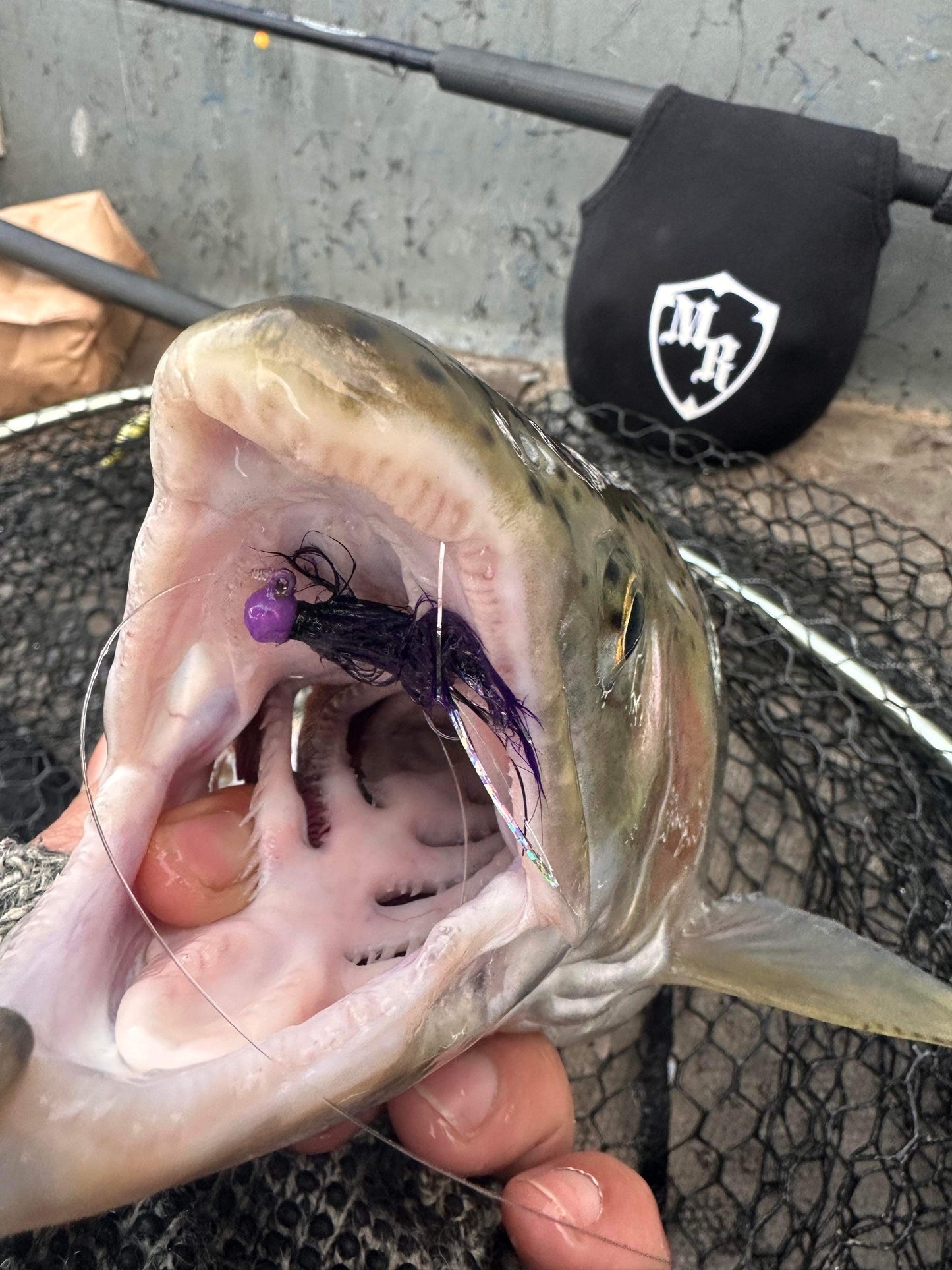 Purple Reign 1/32 oz Maribou Steelhead Jig #4 Hook