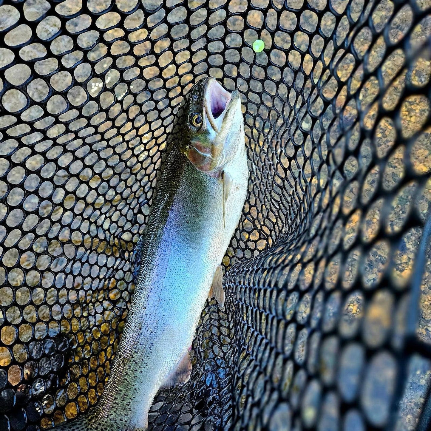 Gooseberry UV Glow Plastic Fishing Bead Steelhead & Salmon