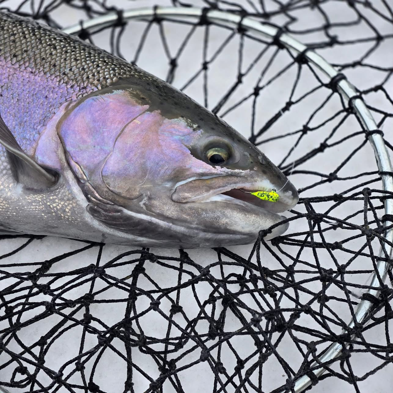 Lemon Pepper Indestructible Paint Series 1/16 oz Steelhead Tube Jigs 2 Pack