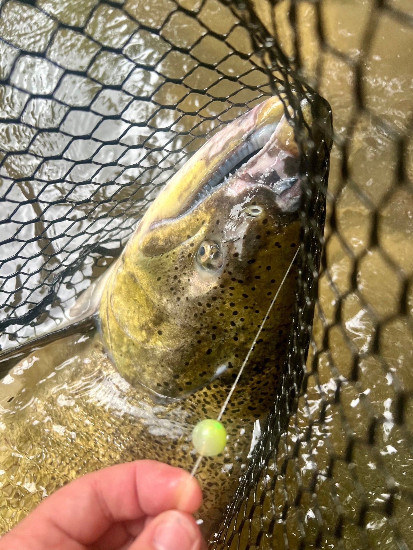 Hulk Snot 14mm Tripple Glow UV Plastic fishing bead for steelhead and salmon
