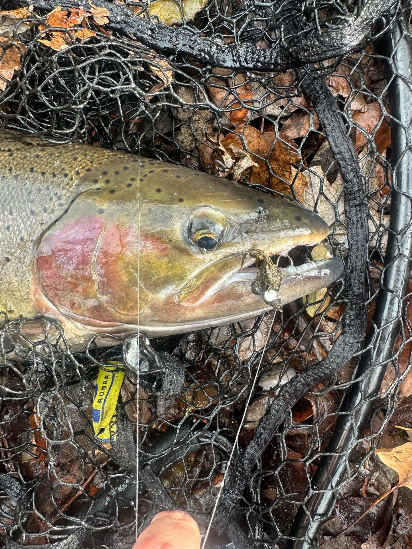 Olive Burger  1/32 oz Maribou Steelhead Jig  #4 Hook