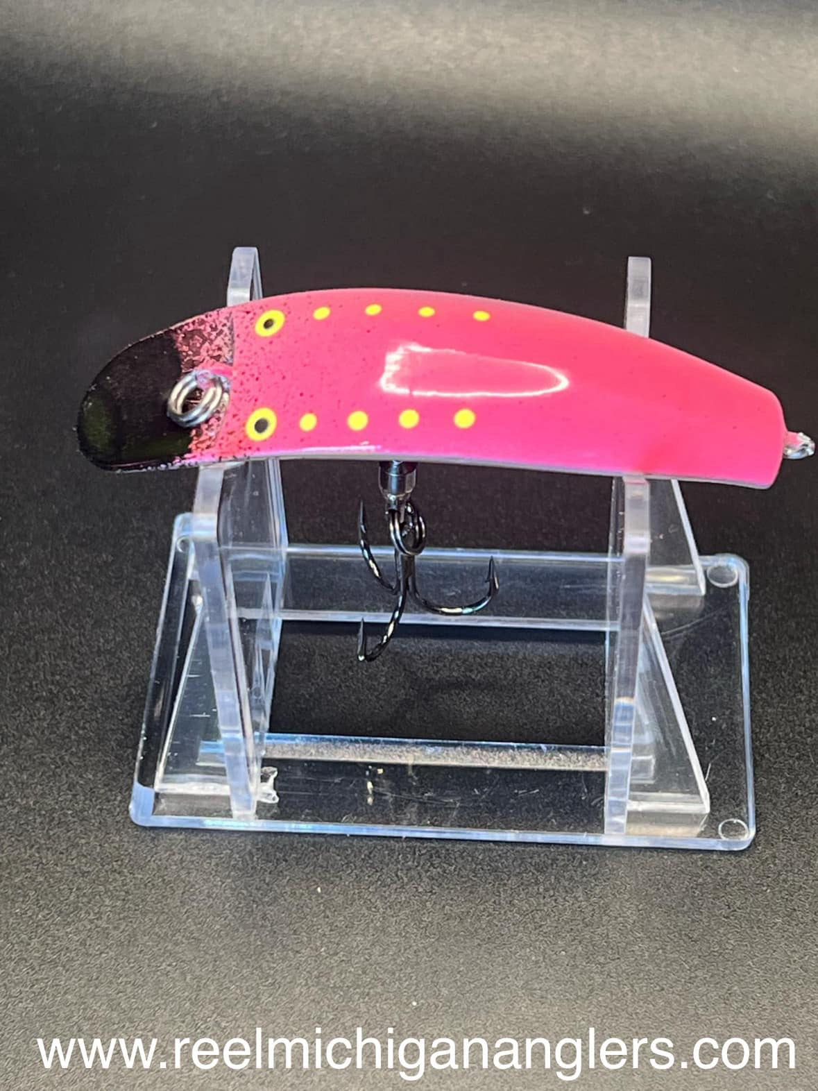 Bushscotti UV Swiftfish