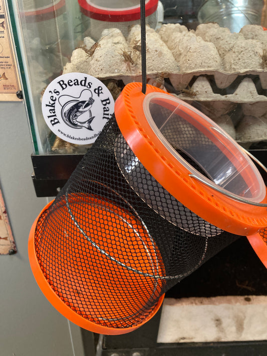 Collapsible, cricket cage