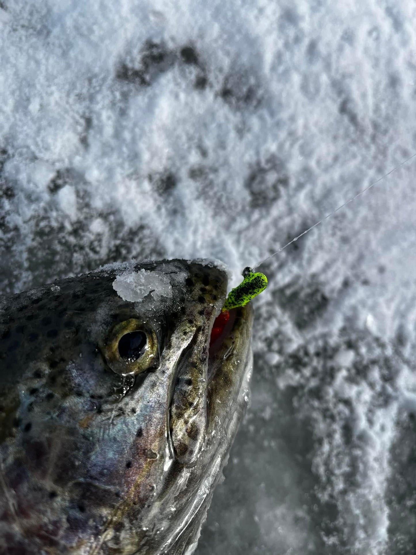 Lemon Pepper Indestructible Paint Series 1/16 oz Steelhead Tube Jigs 2 Pack