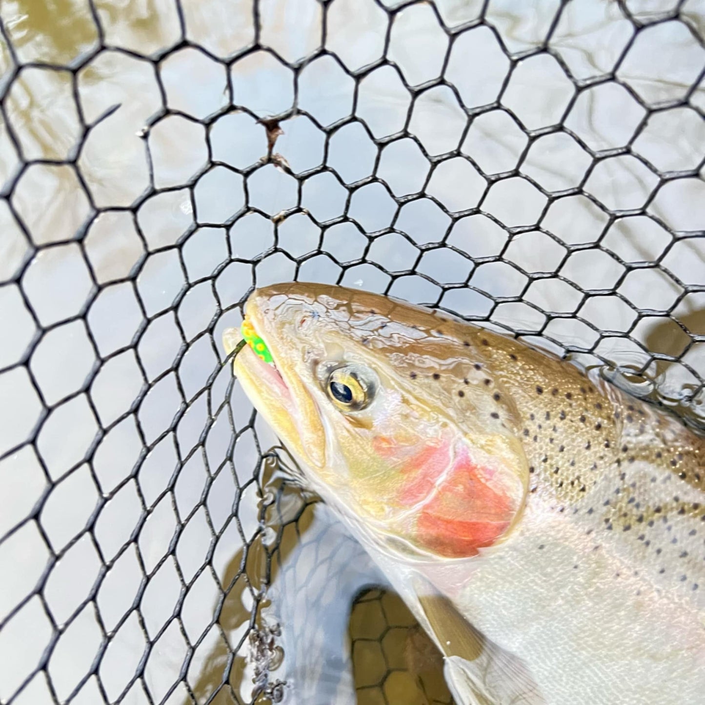 Biohazard 1/16oz Steelhead Tube Jig #4 3X Strong Voodoo Hook 2 Pack