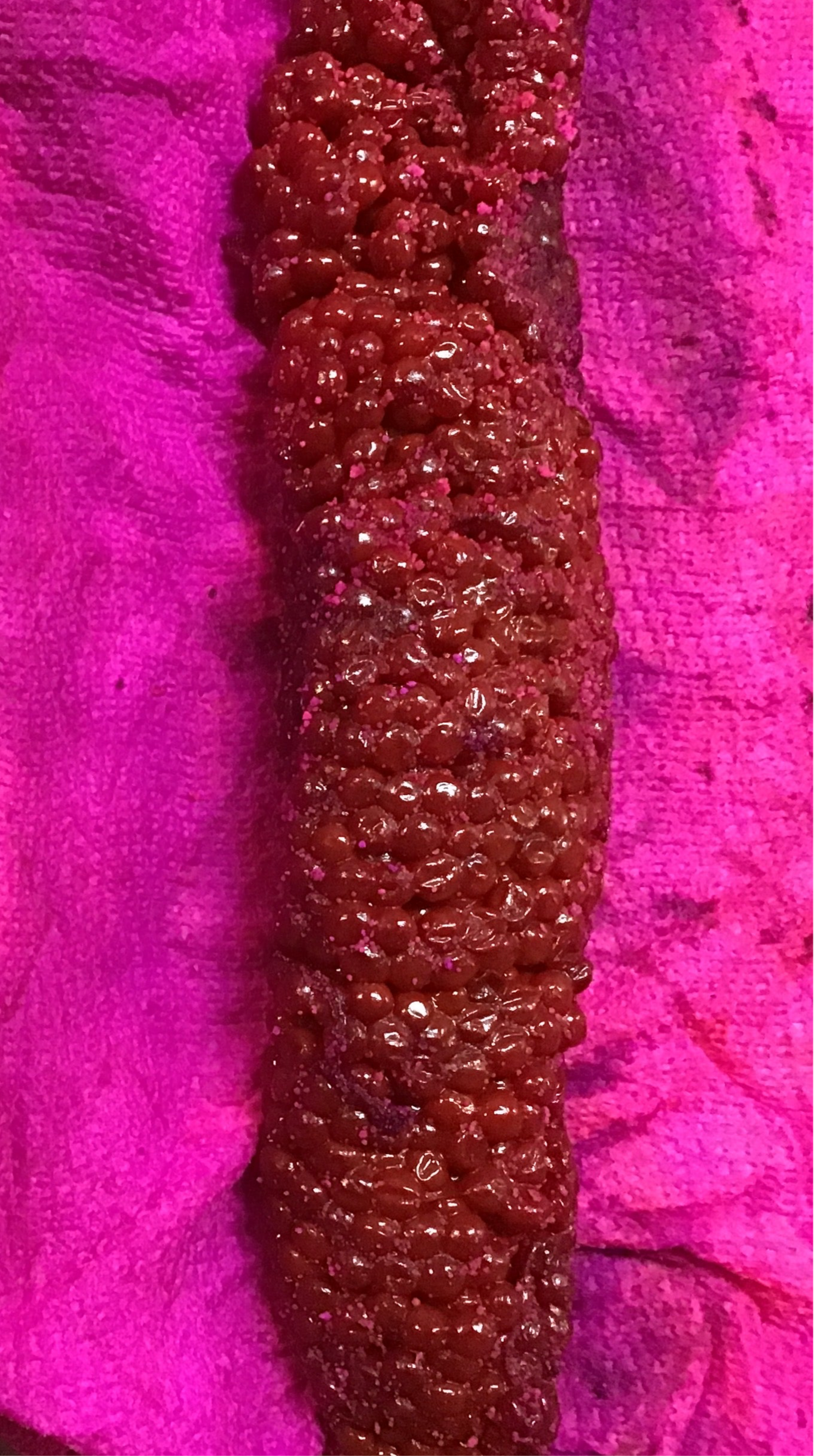 Red coho skein – Blake's Beads & Bait