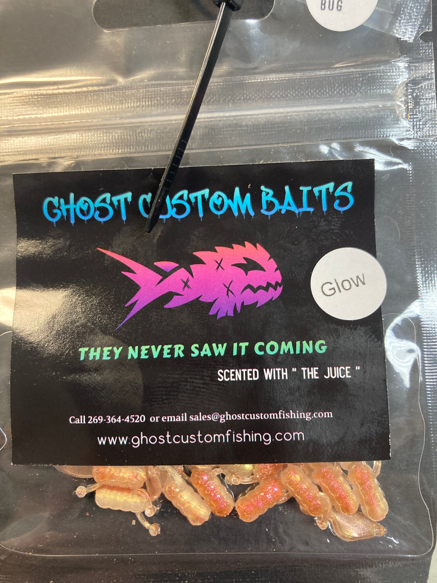 Bea bug golden sunset glow