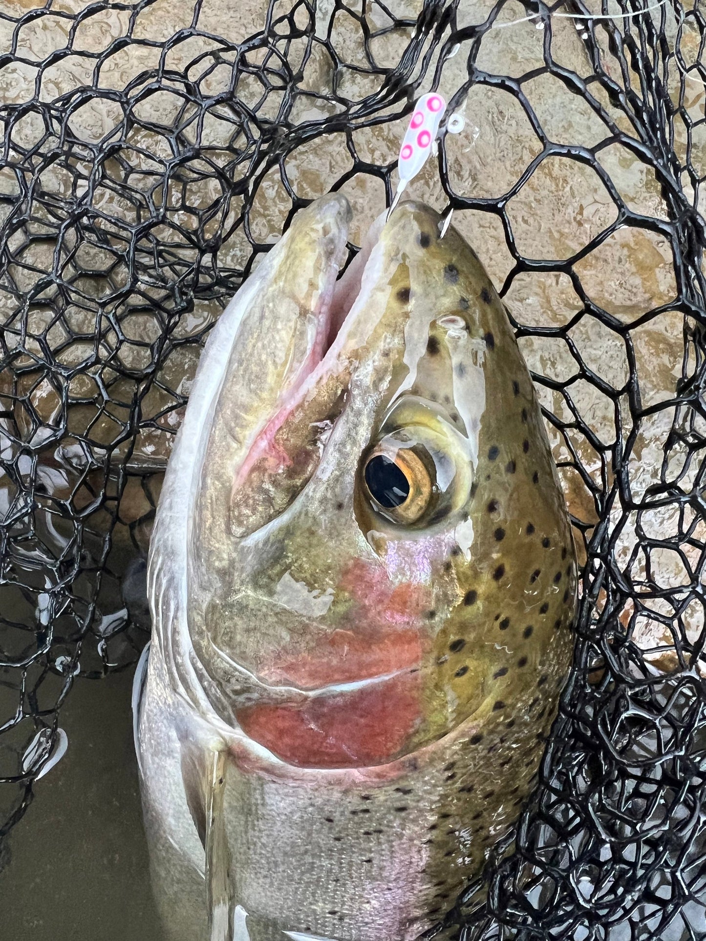 Radioactive 1/16oz Steelhead Tube Jig #4 3X Strong Voodoo Hook 2 Pack