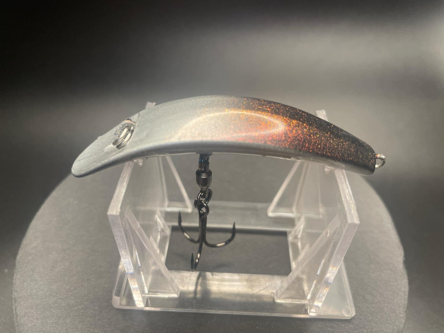 Disco Flash Swiftfish