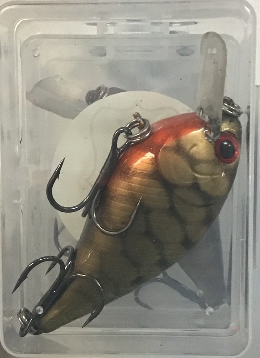 Rma Square Bill gold