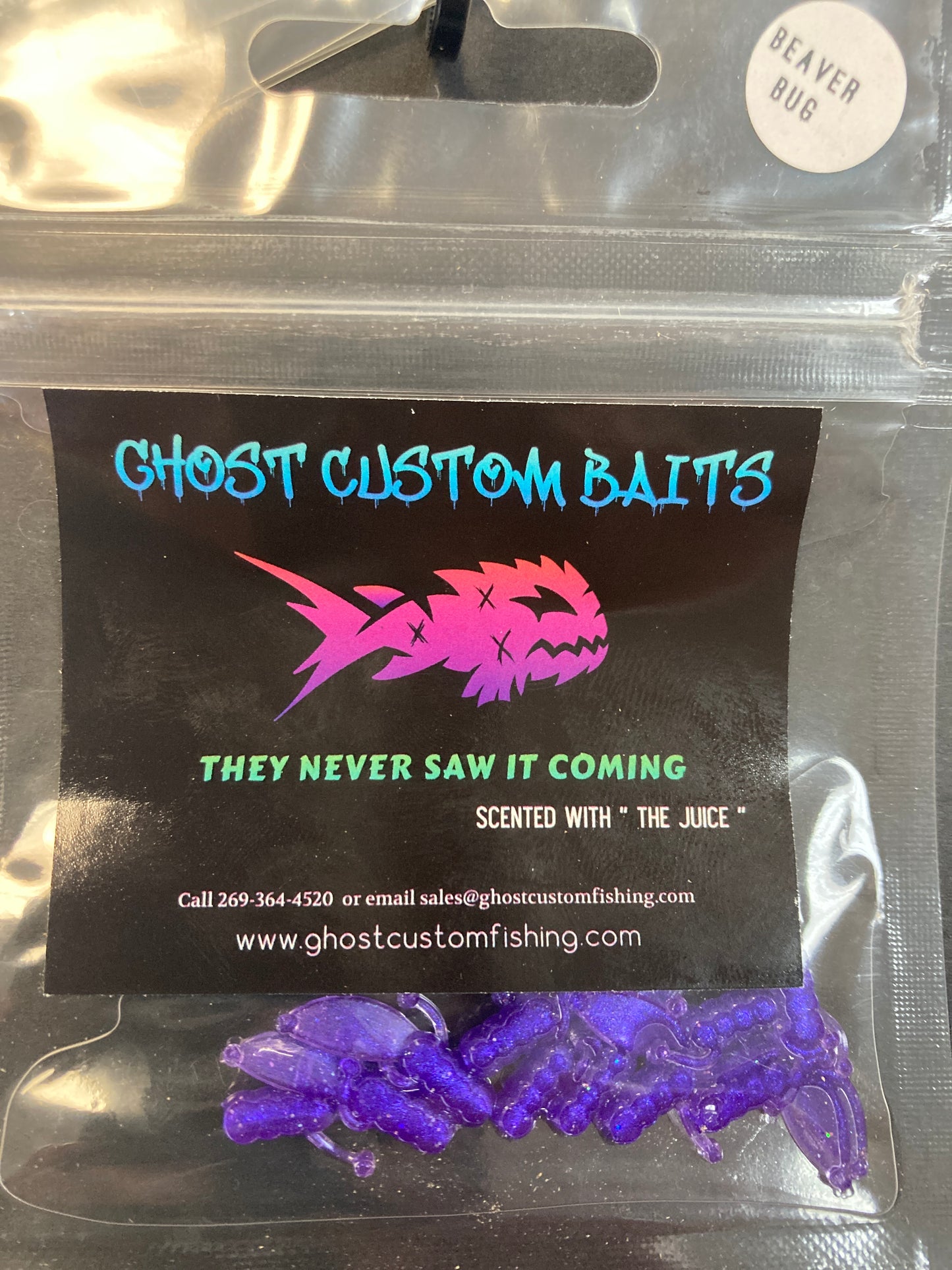 Bea bug purple pearl