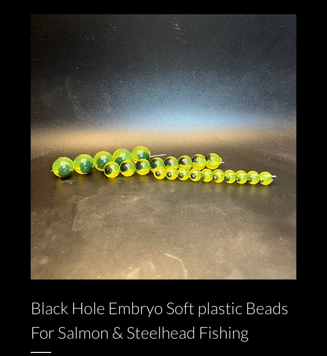 Black Hole Embryo