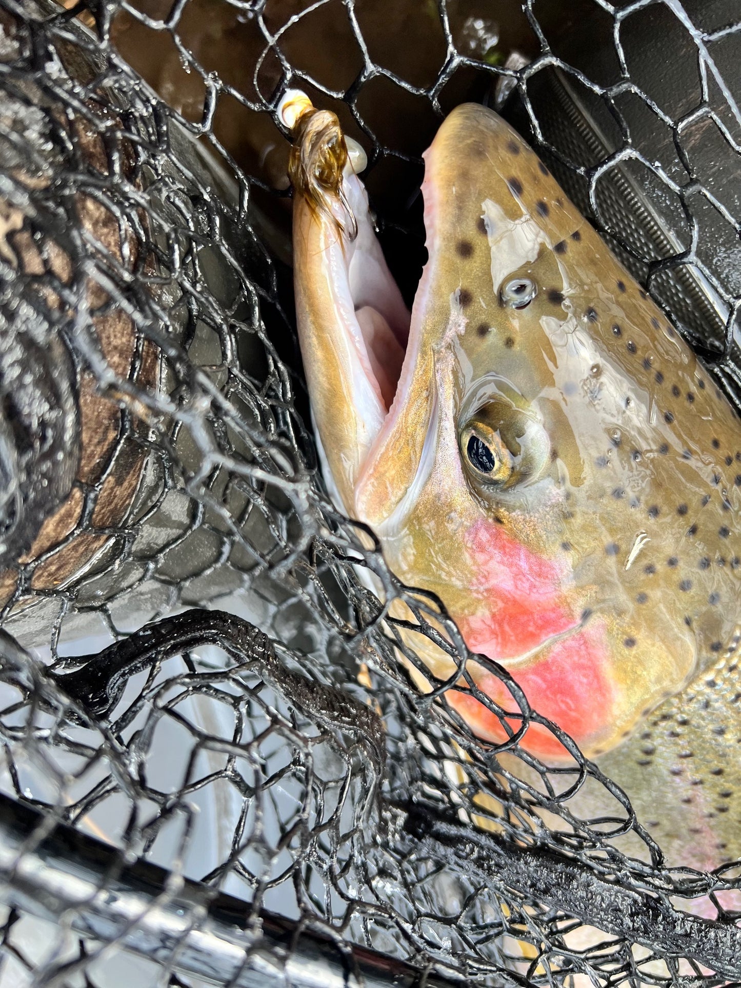 Olive Burger  1/32 oz Maribou Steelhead Jig  #4 Hook