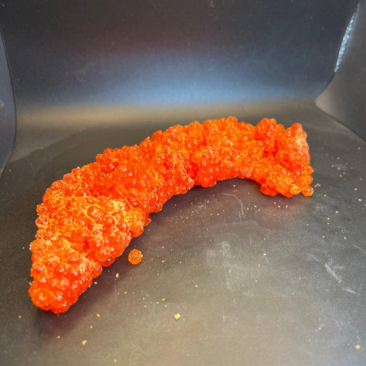 Skein 1lb Coho Salmon Eggs 2025