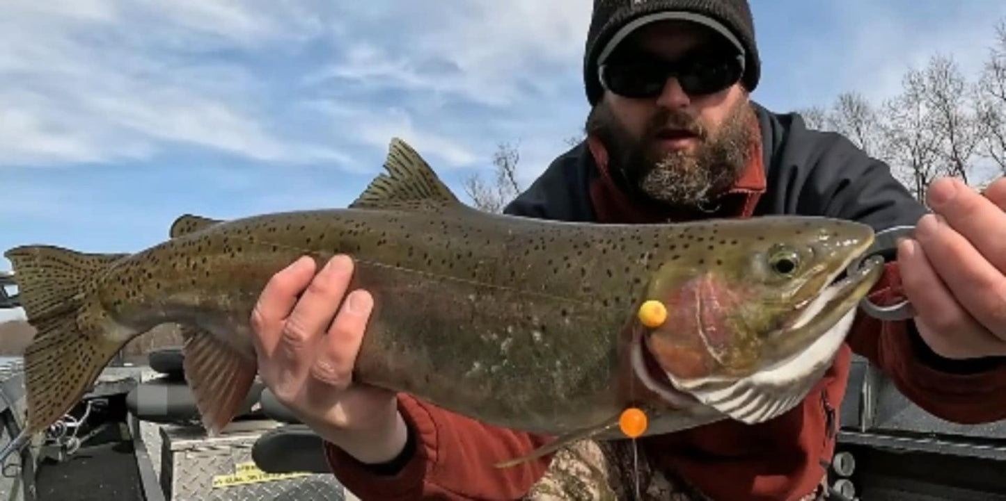 Lemontine UV Glow plastic fishing bead steelhead and salmon